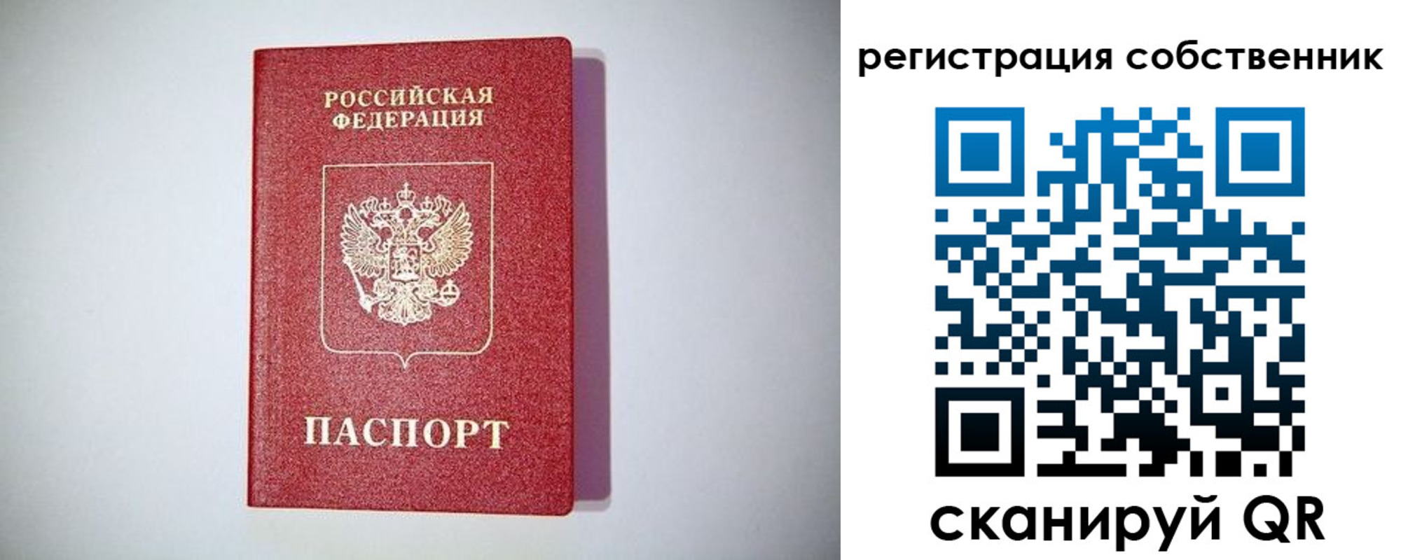 временная регистрация для школы в Куртамыше